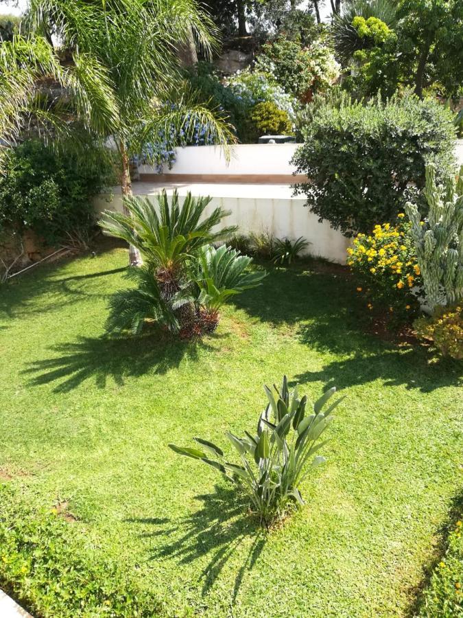 Bianco Sale Trapani Bed & Breakfast Rilievo Bagian luar foto