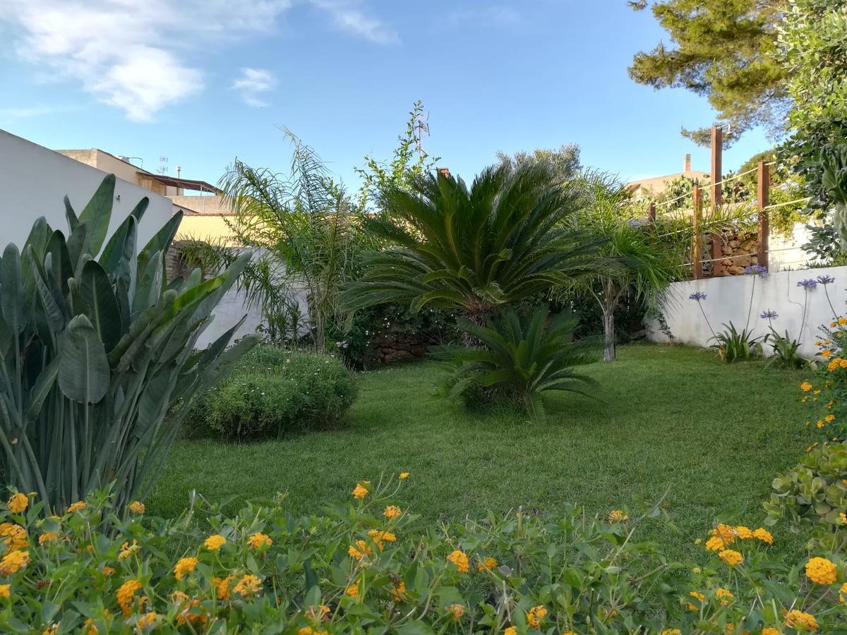 Bianco Sale Trapani Bed & Breakfast Rilievo Bagian luar foto