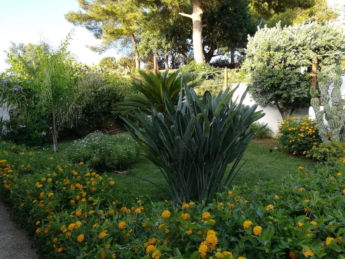 Bianco Sale Trapani Bed & Breakfast Rilievo Bagian luar foto