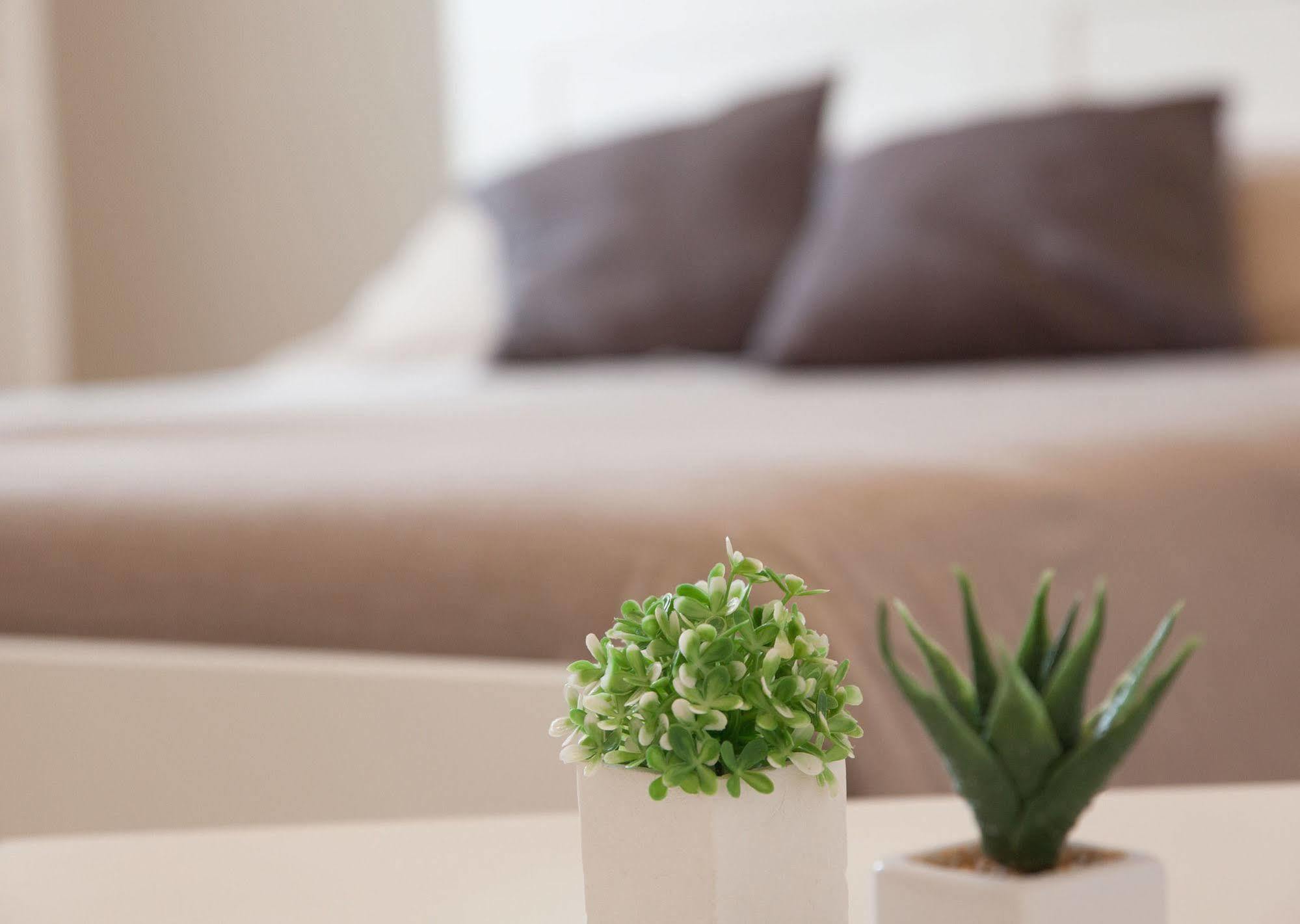Bianco Sale Trapani Bed & Breakfast Rilievo Bagian luar foto